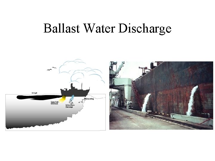 Ballast Water Discharge 