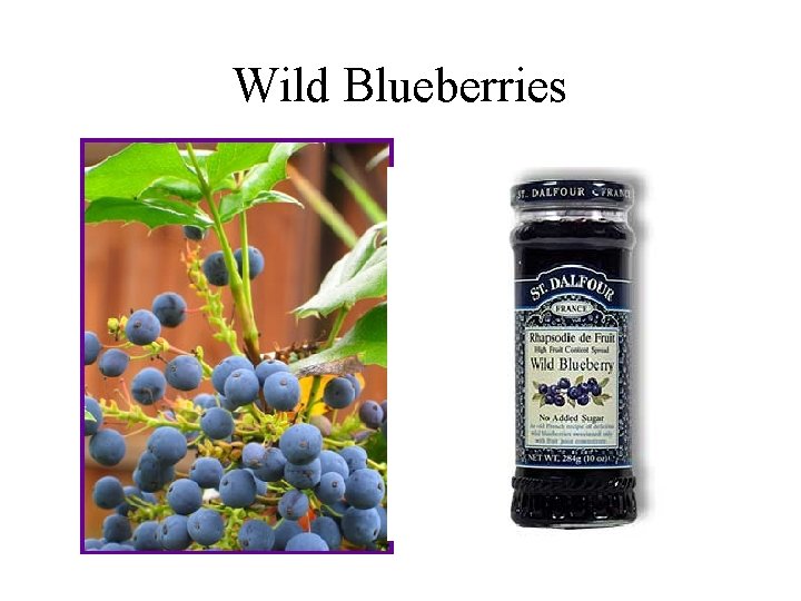 Wild Blueberries 