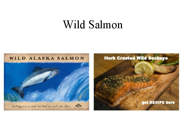 Wild Salmon 