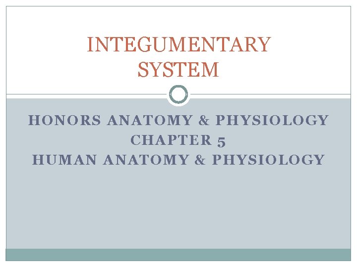 INTEGUMENTARY SYSTEM HONORS ANATOMY & PHYSIOLOGY CHAPTER 5 HUMAN ANATOMY & PHYSIOLOGY 