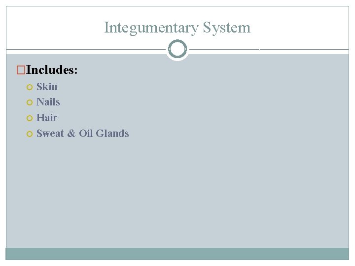 Integumentary System �Includes: Skin Nails Hair Sweat & Oil Glands 