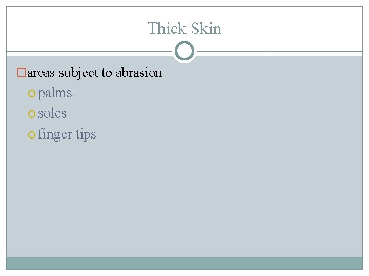 Thick Skin �areas subject to abrasion palms soles finger tips 