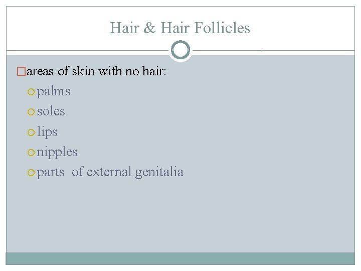 Hair & Hair Follicles �areas of skin with no hair: palms soles lips nipples