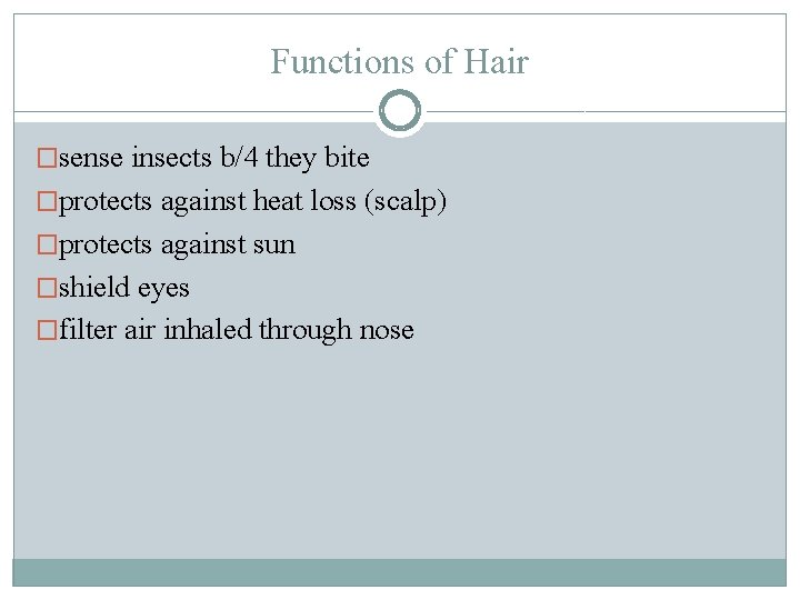 Functions of Hair �sense insects b/4 they bite �protects against heat loss (scalp) �protects