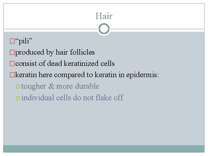 Hair �“pili” �produced by hair follicles �consist of dead keratinized cells �keratin here compared