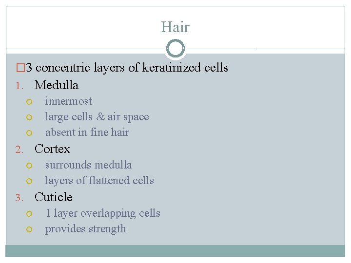 Hair � 3 concentric layers of keratinized cells 1. Medulla innermost large cells &