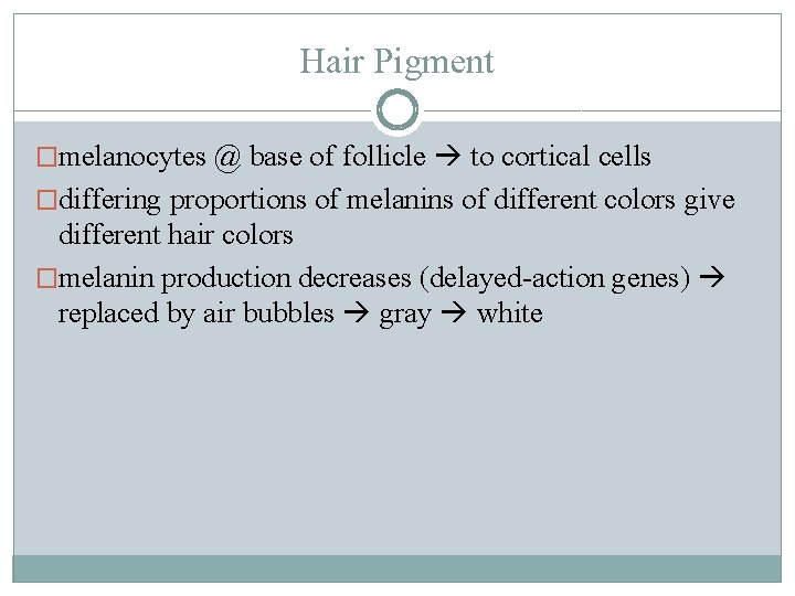 Hair Pigment �melanocytes @ base of follicle to cortical cells �differing proportions of melanins