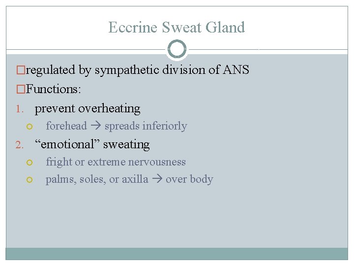 Eccrine Sweat Gland �regulated by sympathetic division of ANS �Functions: 1. prevent overheating forehead