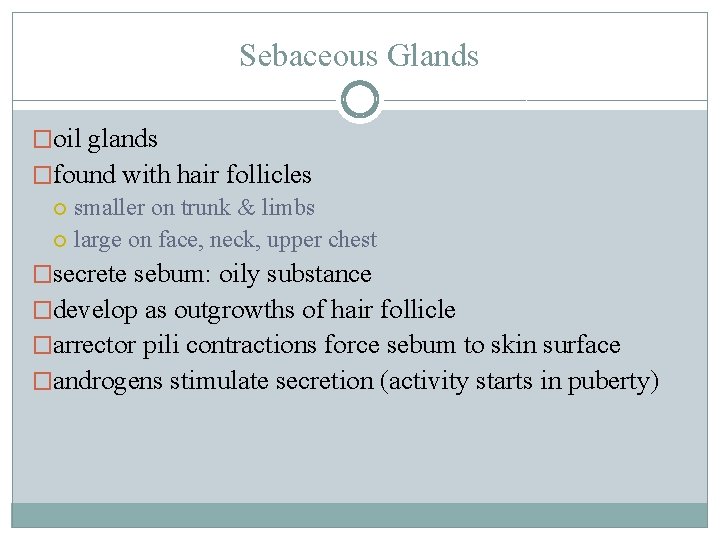 Sebaceous Glands �oil glands �found with hair follicles smaller on trunk & limbs large