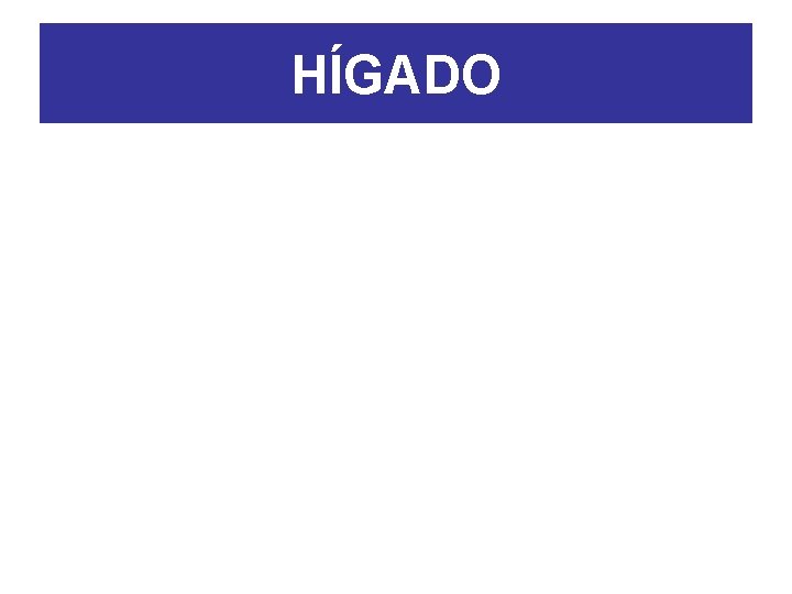 HÍGADO 