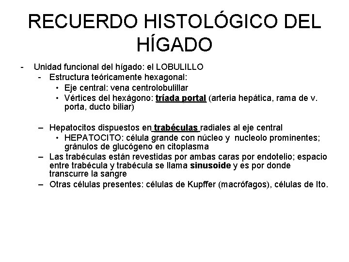 RECUERDO HISTOLÓGICO DEL HÍGADO - Unidad funcional del hígado: el LOBULILLO - Estructura teóricamente