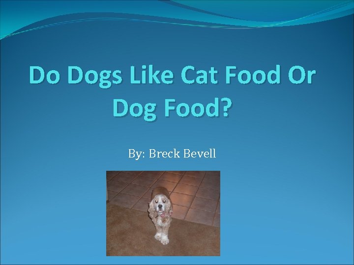 Do Dogs Like Cat Food Or Dog Food? By: Breck Bevell 