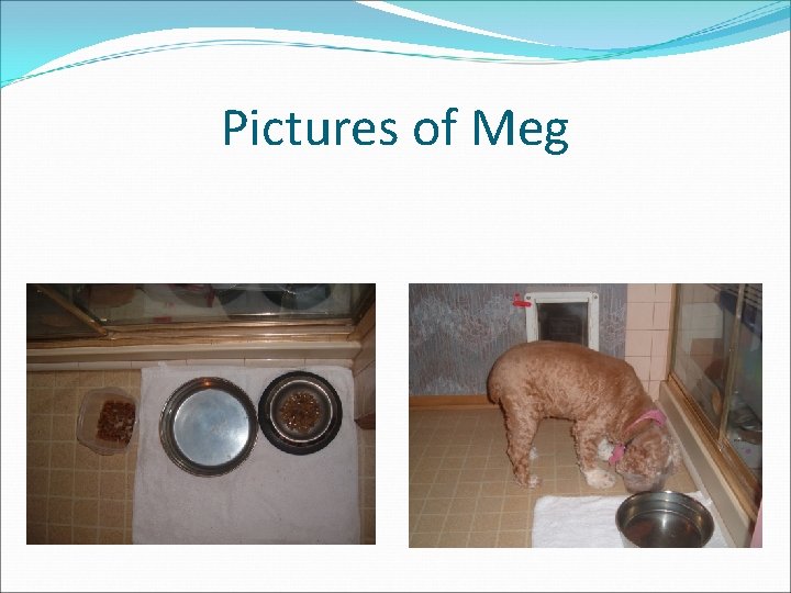 Pictures of Meg 