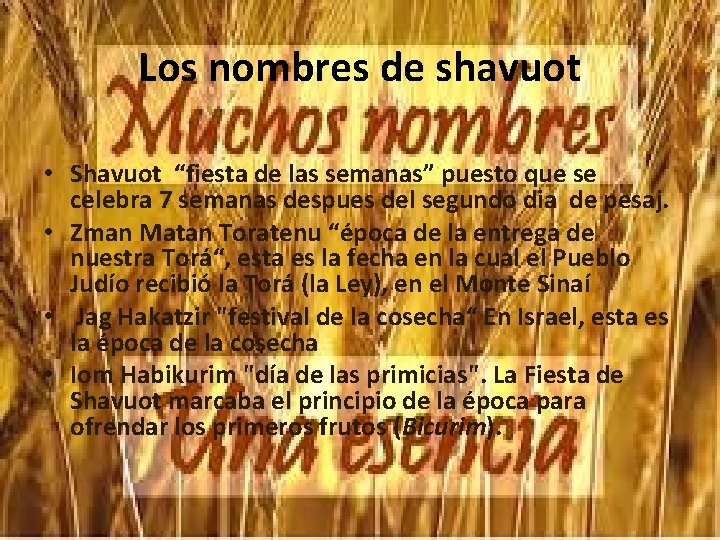 Los nombres de shavuot • Shavuot “fiesta de las semanas” puesto que se celebra