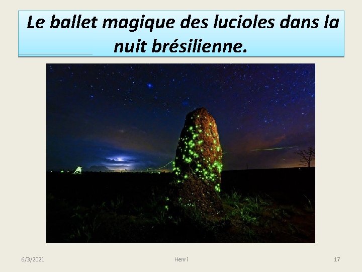 Le ballet magique des lucioles dans la nuit brésilienne. 6/3/2021 Henri 17 