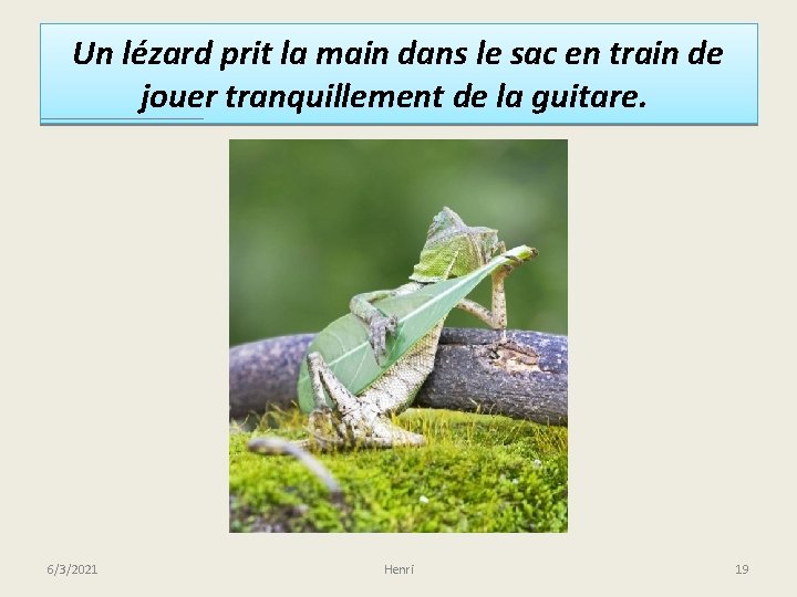 Un lézard prit la main dans le sac en train de jouer tranquillement de