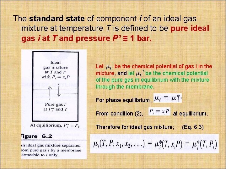 The standard state of component i of an ideal gas mixture at temperature T