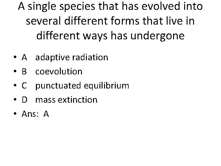 A single species that has evolved into several different forms that live in different