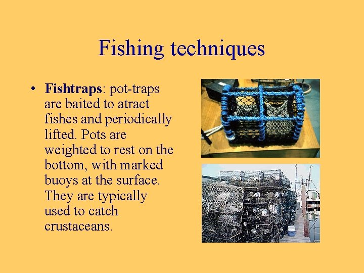 Fishing techniques • Fishtraps: pot-traps are baited to atract fishes and periodically lifted. Pots