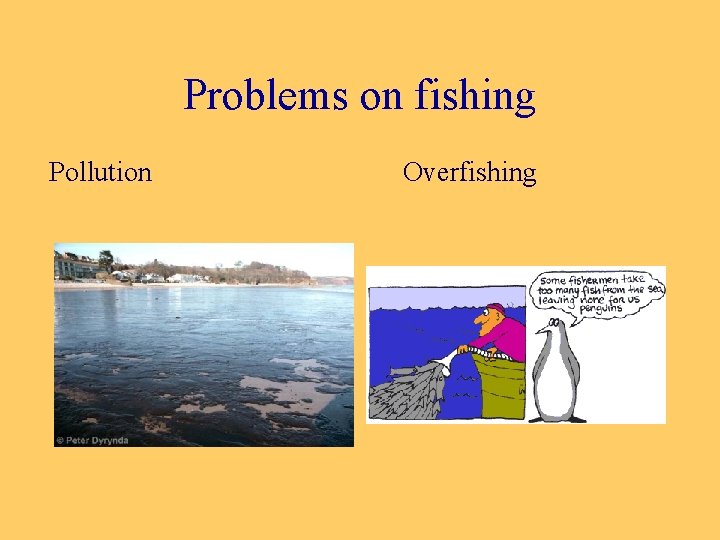 Problems on fishing Pollution Overfishing 