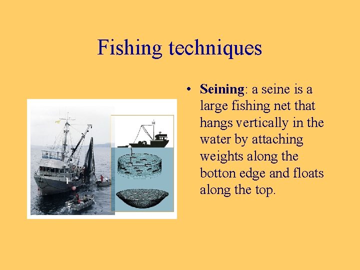 Fishing techniques • Seining: a seine is a large fishing net that hangs vertically