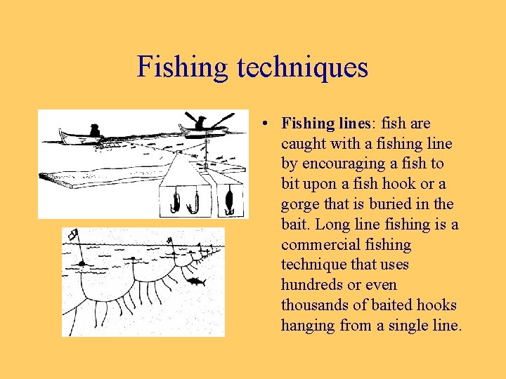 Fishing techniques • Fishing lines: fish are caught with a fishing line by encouraging