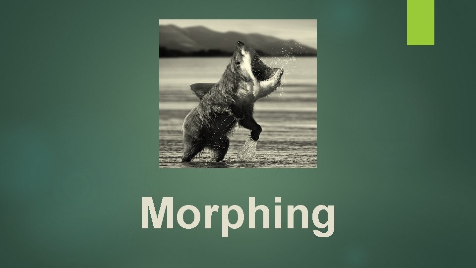 Morphing 
