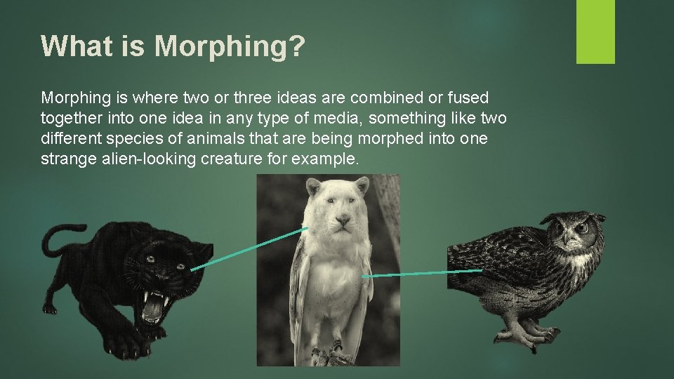 What is Morphing? Morphing is where two or three ideas are combined or fused