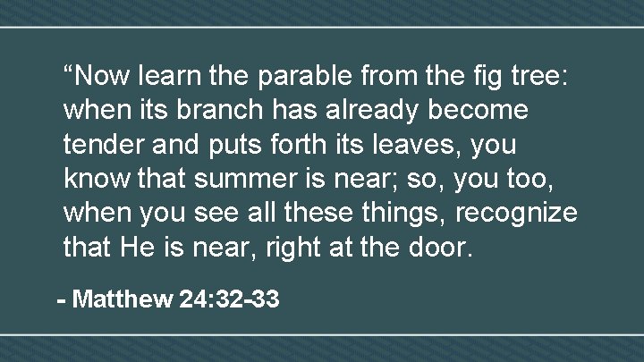 “Now learn the parable from the fig tree: when its branch has already become