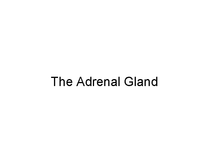 The Adrenal Gland Adrenal or Suprarenal Glands Definition