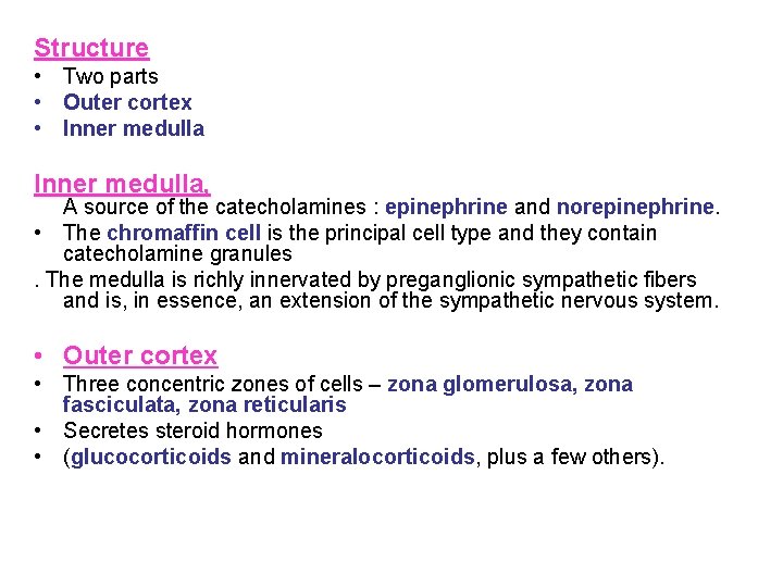The Adrenal Gland Adrenal or Suprarenal Glands Definition