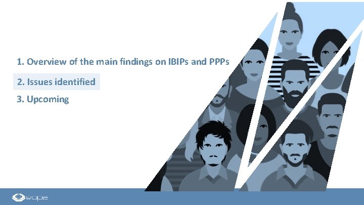 1. Overview of the main findings on IBIPs and PPPs 2. Issues identified 3.