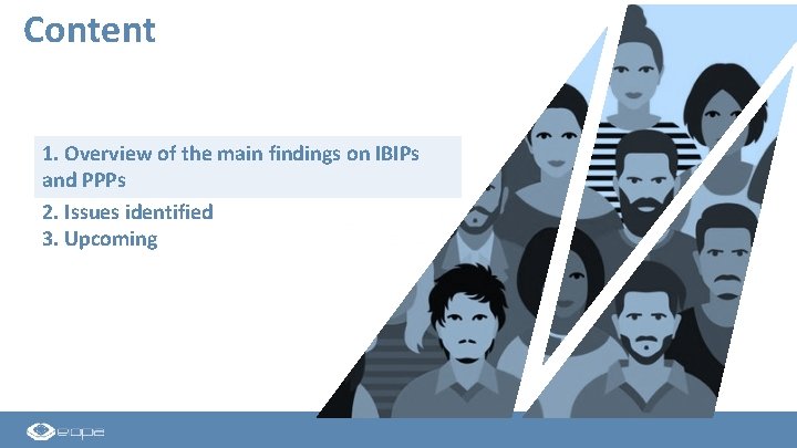 Content 1. Overview of the main findings on IBIPs and PPPs 2. Issues identified