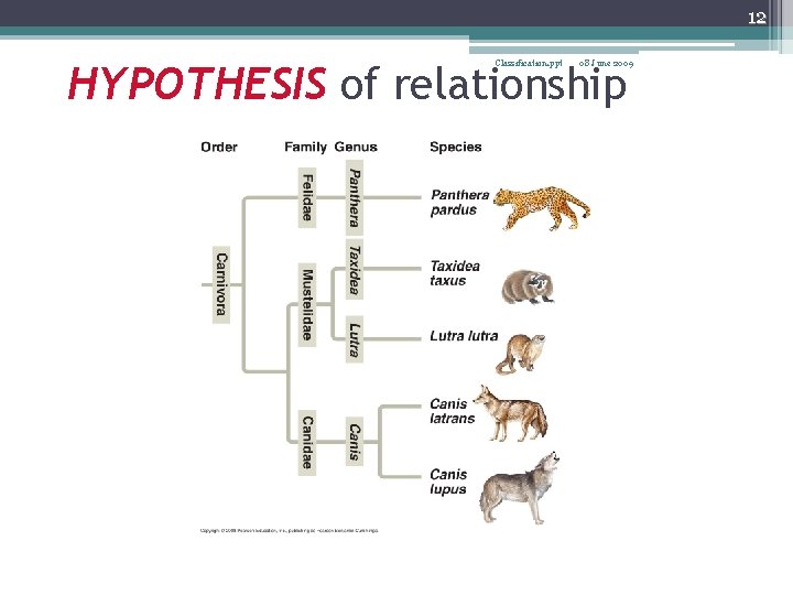 12 Classification. ppt 08 June 2009 HYPOTHESIS of relationship 