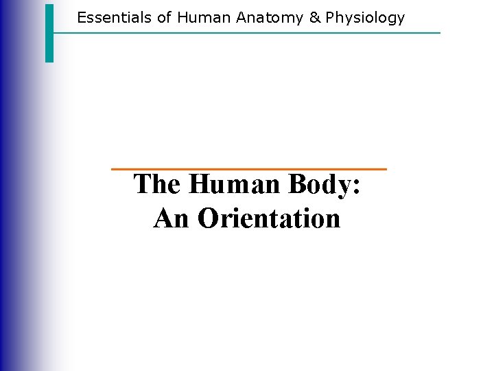 Essentials of Human Anatomy & Physiology The Human Body: An Orientation 