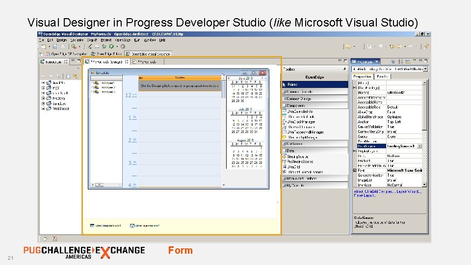 Visual Designer in Progress Developer Studio (like Microsoft Visual Studio) 21 Form 