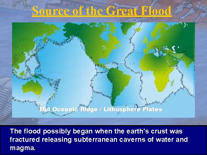 Source of the Great Flood Mid Oceanic Ridge / Lithosphere Plates The flood possibly