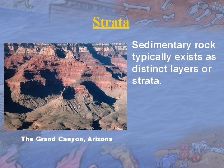 Strata Sedimentary rock typically exists as distinct layers or strata. The Grand Canyon, Arizona