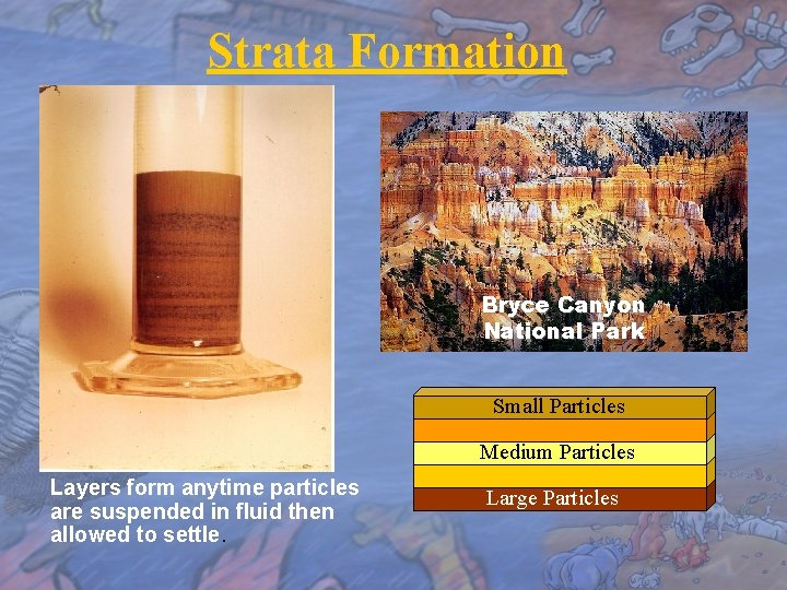 Strata Formation Bryce Canyon National Park Small Particles Medium Particles Layers form anytime particles