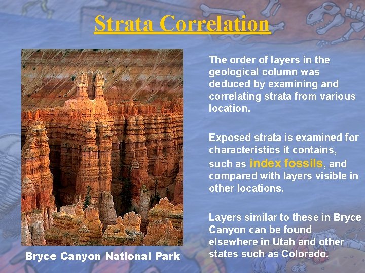 Strata Correlation The order of layers in the geological column was deduced by examining