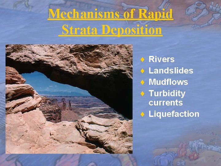 Mechanisms of Rapid Strata Deposition ♦ ♦ Rivers Landslides Mudflows Turbidity currents ♦ Liquefaction
