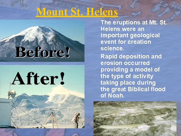 Mount St. Helens The eruptions at Mt. St. Helens were an important geological event