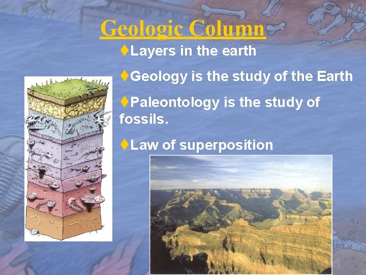 Geologic Column t. Layers in the earth t. Geology is the study of the