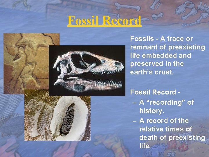Fossil Record Fossils - A trace or remnant of preexisting life embedded and preserved