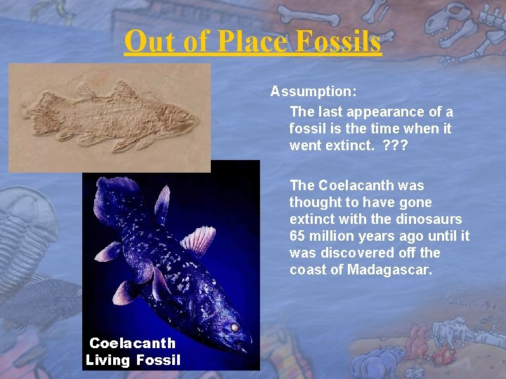 Out of Place Fossils Assumption: The last appearance of a fossil is the time