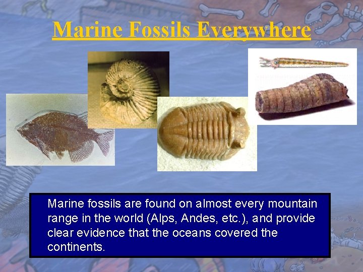 Marine Fossils Everywhere Marine fossils are found on almost every mountain range in the