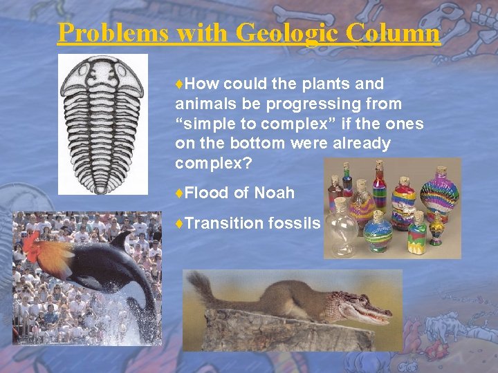 Problems with Geologic Column ♦How could the plants and animals be progressing from “simple