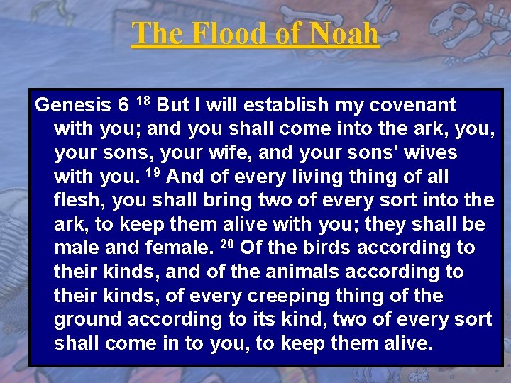 The Flood of Noah Genesis 6 18 But I will establish my covenant with