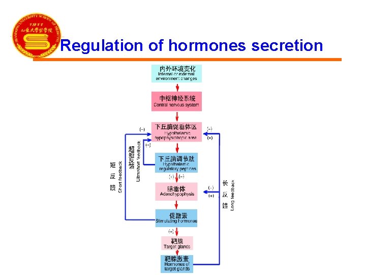 Regulation of hormones secretion 