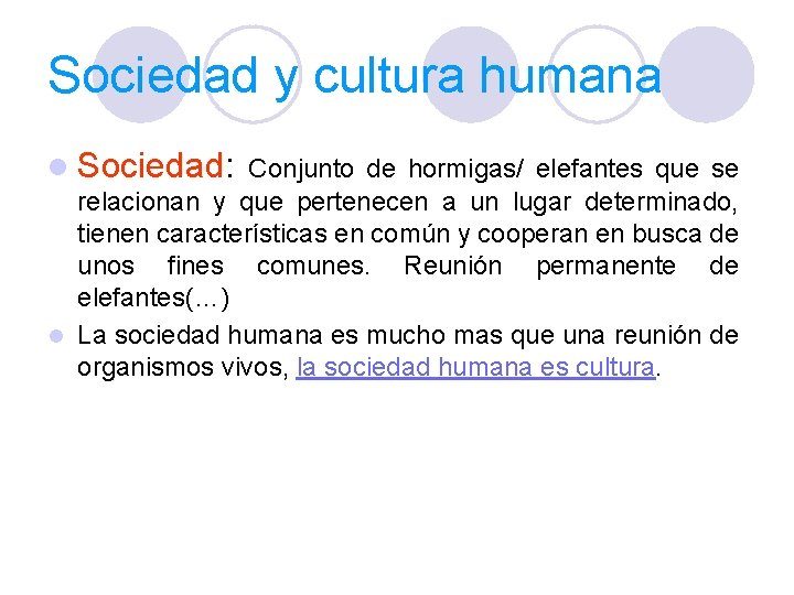 Sociedad y cultura humana l Sociedad: Conjunto de hormigas/ elefantes que se relacionan y